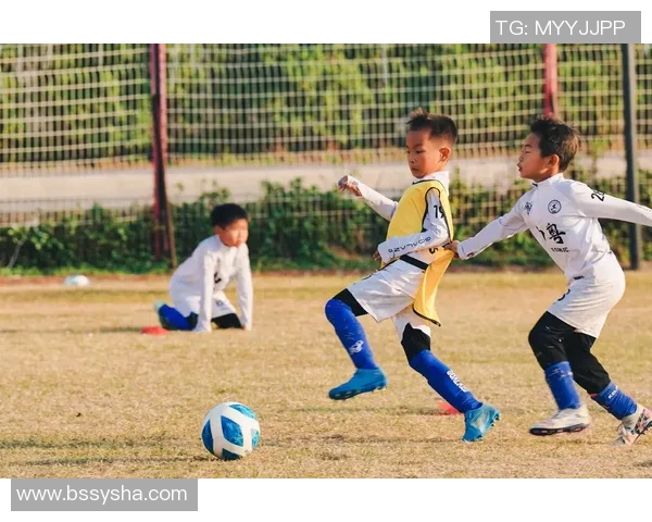 青莲在绿茵场上挥洒汗水与激情展现足球梦想的成长之路