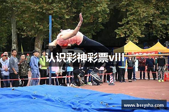 认识彩神彩票vIII